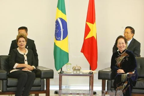 Vietnam’s Vice State President Nguyen Thi Doan meets Brazilian President Dilma Rousseff (Source: VNA)