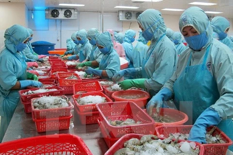 Frozen shrimp processing for exports. (Photo: VNA)