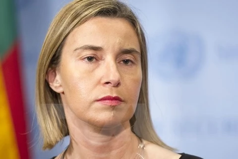 High Representative of the European Union for Foreign Affairs and Security Policy, Federica Mogherini (Source: AFP)