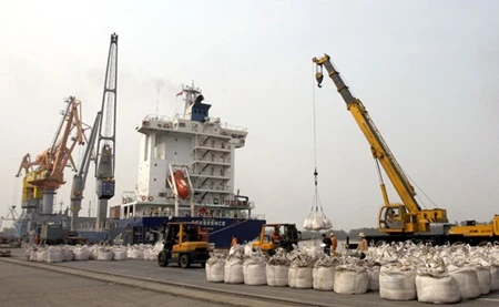Ships being loaded for export at Hai Phong Port (Photo: VNA)
