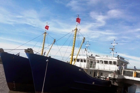 Steel fishing vessels. Illustrative image (Photo: VNA)