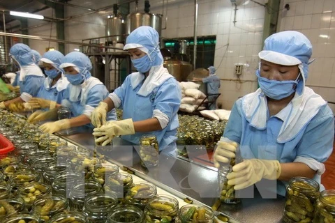 Vietnamese workers package baby cucumber for export. ASEAN is the RoK’s second largest trading partner (Photo: VNA)