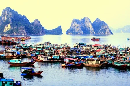 Tourist boats dock at the Van Don Habour in Quang Ninh province, which is home to Ha Long Bay (Photo: VNA)