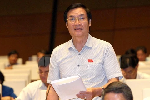 Legislator Dinh Vu Xuan Truong is speaking (Source: VNA)