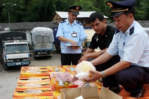 A customs officer checks fruits imported from China at the Tan Thanh border gate in Lang Son province (Photo: VNA)