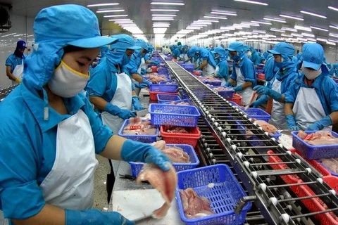 Processing tra fish for exports (Photo: VNA)
