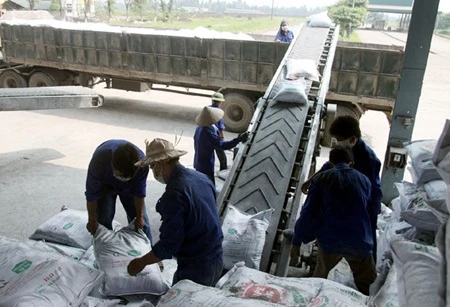 Lam Thao Fertilisers and Chemicals Company workers in Phu Tho province transport fertilisers for sale (Photo: VNA)