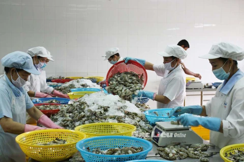 Total seafood output reached 137,000 tonnes. (Photo: baobaclieu.vn)