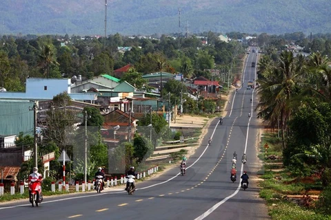 A section of the Ho Chi Minh Road traversing the Central Highlands of Gia Lai (Photo: VNA)