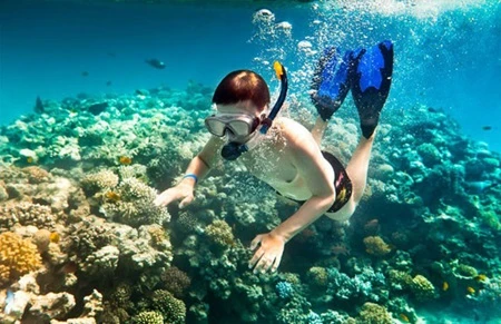 A tourist dives to view coral reefs at Nha Cu Beach. The beach is also a popular spot for visitors looking to watch the sunset (Photo: ivivu.com)