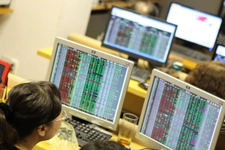 An investor traces market fluctuations at the Hoang Gia stock trading floor in Ha Noi. Photo: VNS