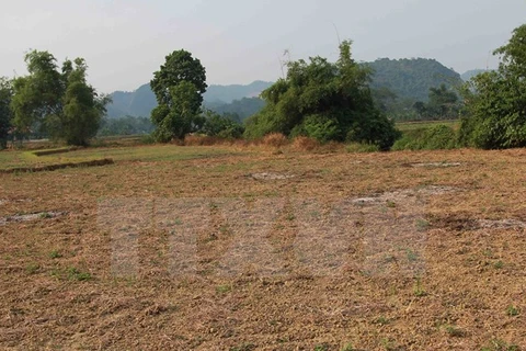 Farming land in Ha Giang lack water (Source: VNA)