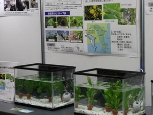 Toshiba Group Holds 21st Environmental Exhibition