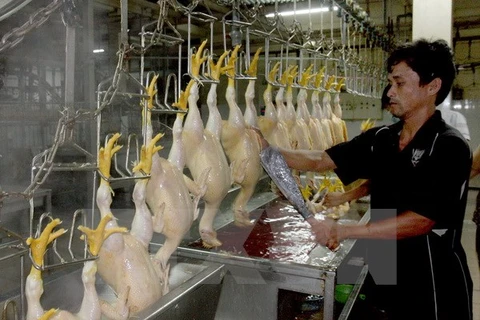Vietnam adopta medidas para elevar competitividad de ganadería