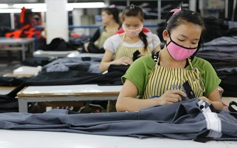  Laos intensifica gestión de trabajadores extranjeros