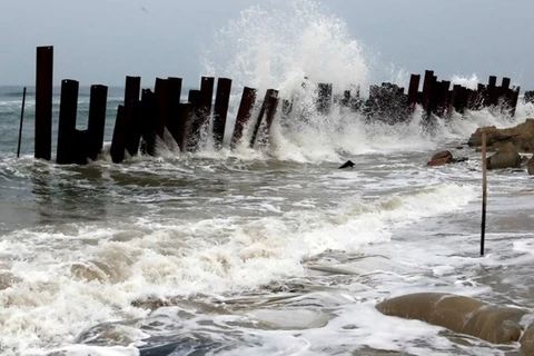 Región norteña de Vietnam en alerta por afectaciones de tifón Mujigae