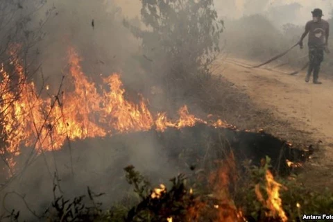 Afectados Malasia y Tailandia por incendios forestales en Indonesia