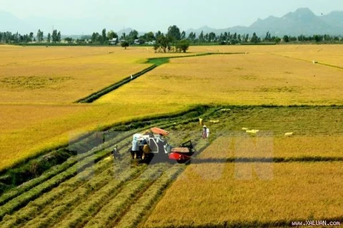 Aspira grupo japonés invertir en maquinarias agrícolas de Vietnam