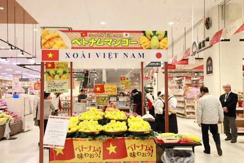 Mango vietnamita penetra en el mercado de Japón