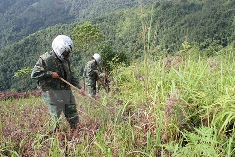 Sudcorea ayuda a Vietnam en desactivación de bombas y minas