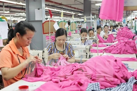 OIT dispuesta a apoyar a Vietnam para afinar regulaciones laborales