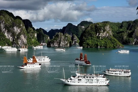 Cruceros en la bahía de Ha Long
