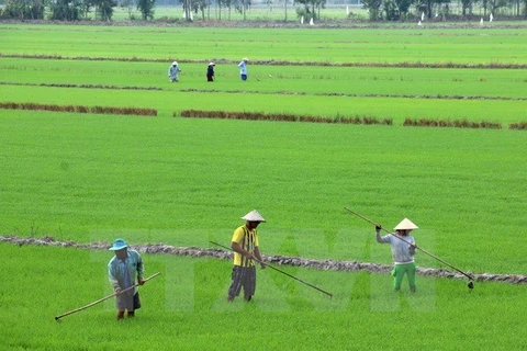 Éxitos en cumplir metas del milenio muestran garantía de DD.HH. en Vietnam