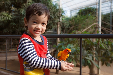 Vietnam tiene su primer parque Safari zoológico