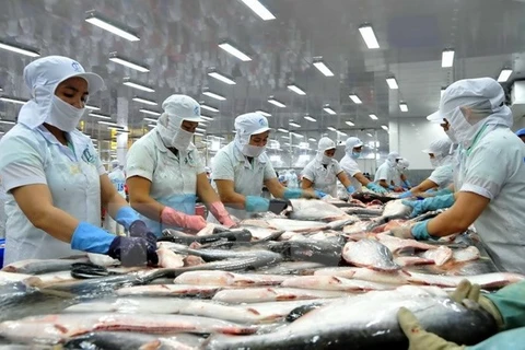 Tra Vinh despliega diversas medidas para desarrollo de acuicultura