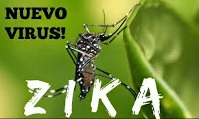 Vietnam no reporta ningún caso infectado por virus Zika