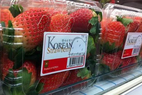 Vietnam importará fresas sudcoreanas
