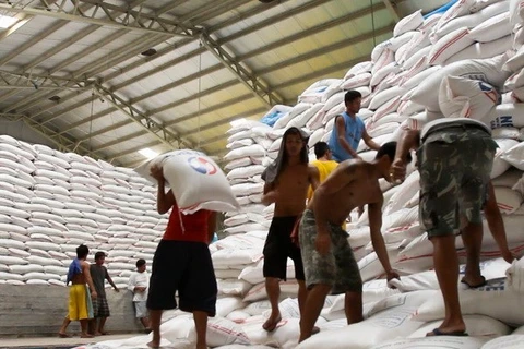Exportación de arroz vietnamita muestra señales positivas a principios de año