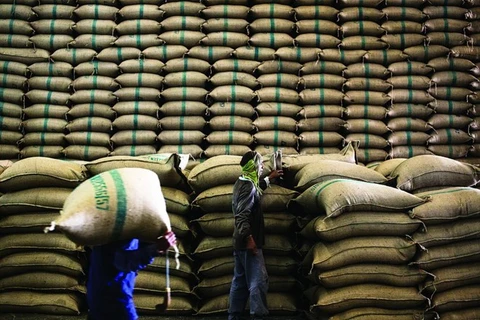 Tailandia pierde posición número uno como exportador mundial de arroz