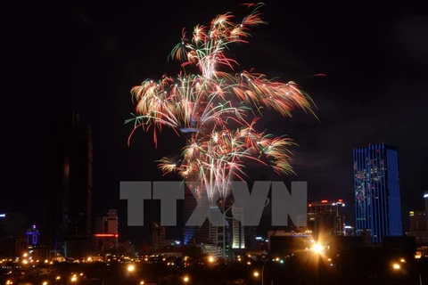 Ciudad Ho Chi Minh festeja año nuevo lunar con fuegos artificiales