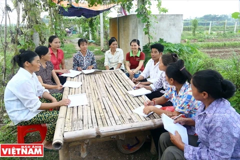 Organización belga ayuda a agricultores de Vietnam a superar pobreza