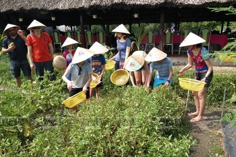 Ciudad vietnamita promueve agroturismo