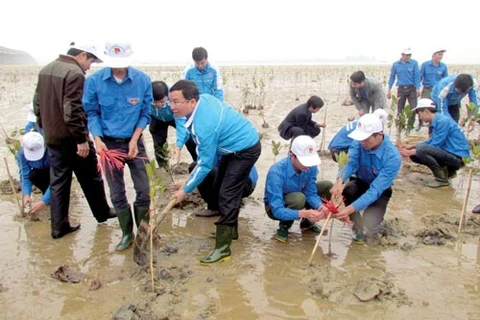 Respuesta activa de jóvenes vietnamitas a la protección ambiental