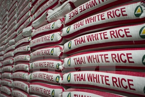 Tailandia elabora estrategia a largo plazo para el arroz