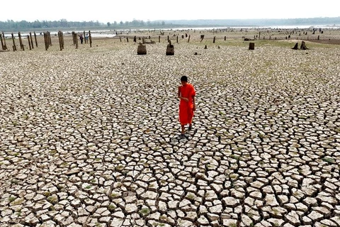 Tailandia: Sequía podría recortar 0,8 por ciento de PIB