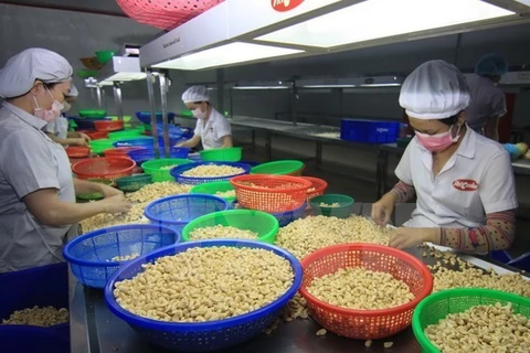 OMC: Impresionante crecimiento del comercio de Vietnam en 2015