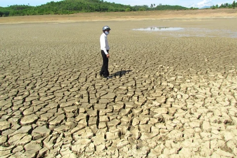 Sequía continúa afectando provincias centrales y sureñas de Vietnam