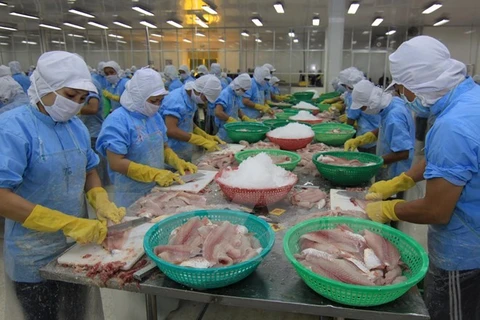 Procesamiento de filetes del pescado Tra en una empresa para la exportación (Fuente: VNA)