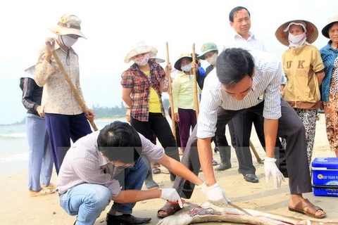 Muerte masiva de peces en costa central: Premier exige asistencia a pescadores