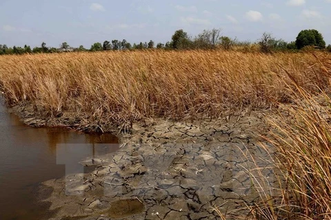 Región central de Vietnam sigue en lucha contra sequía