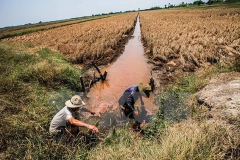 Cruz Roja de Vietnam ofrece asistencia urgente a pobladores afectados por sequía
