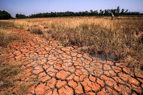 Comisión Europea asiste a pobladores afectados por sequía en Vietnam