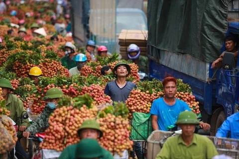 Divulgan compromisos de protección de indicaciones geográficas entre Vietnam y UE