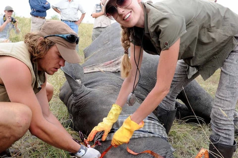 Ogilvy Vietnam obtiene premios por campaña de conservación de rinocerontes