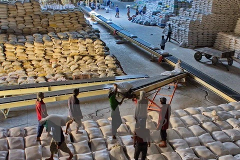 Las exportaciones del arroz de Vietnam merman 18,4 por ciento