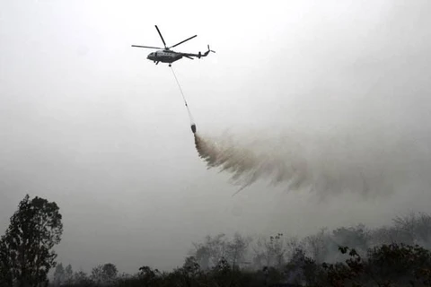 Aumentan incendios forestales en Indonesia